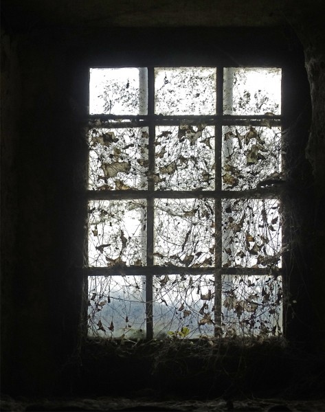 Neglected window by Jean Sutton  (1)