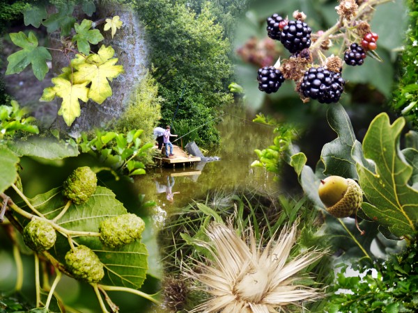 2nd=- Ryton Montage by Richard Anthony