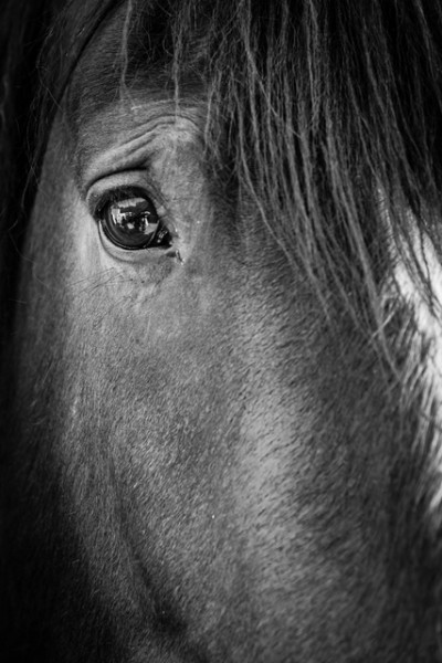 3rd - Focused by Mark Varney