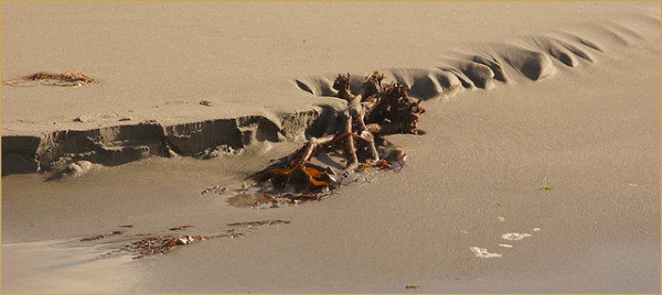 3rd= - Sand & Seaweed by Jean Sutton