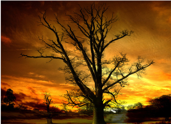 3rd - Autumn Sunset by Albert Watts