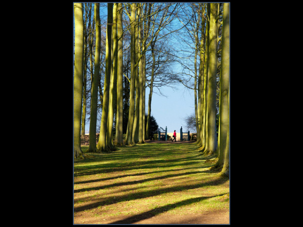 3rd - Walk up the Avenue by Terry Mann
