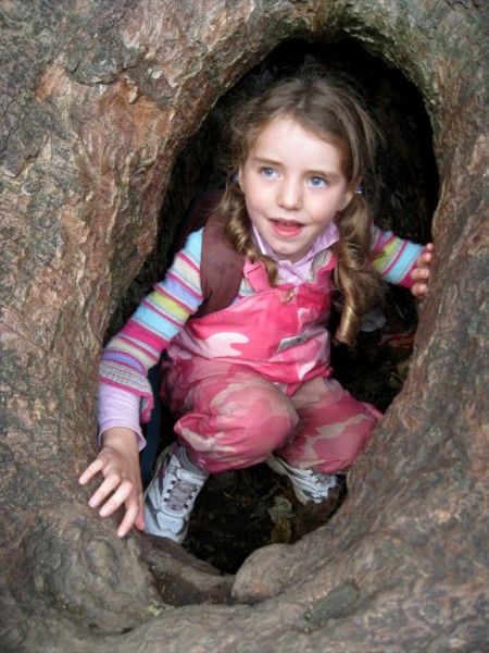 TOUCHINGLY FRAMED ANNIE by Rosemary Gibbs