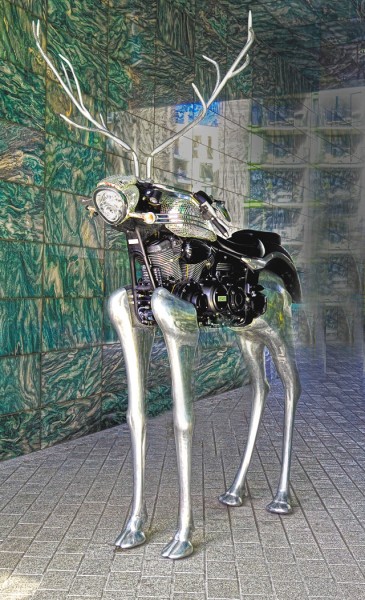 OLYMPUS DIGITAL CAMERA