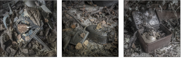 Panel_Mike Parmee_DPS