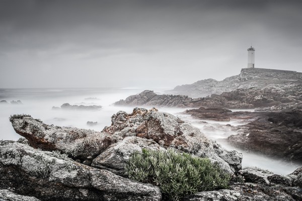 Samphire on Galician Coast by Mike Parmee ARPS CPAGB