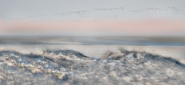 1_Migration by Mike Parmee ARPS CPAGB