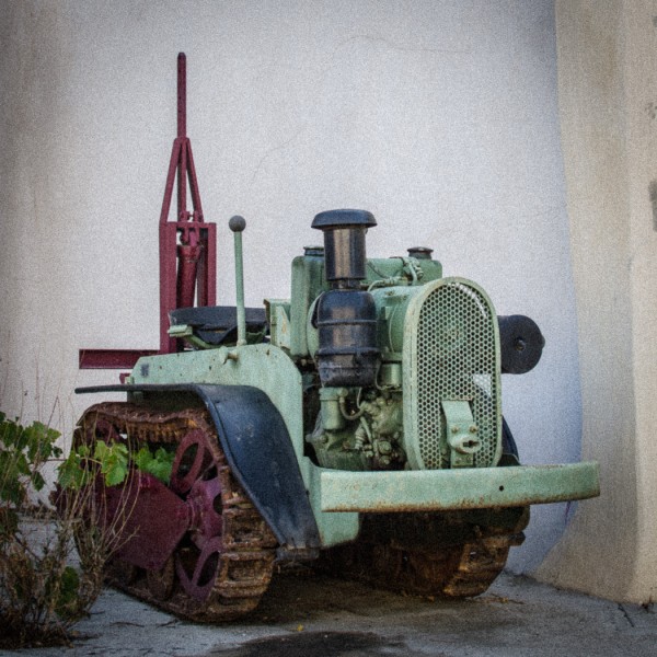 GRAPEVINE GRABBS BACK by Josefine Hammerby