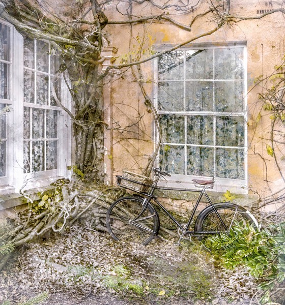 Lost Bicycle by Eric Tatham