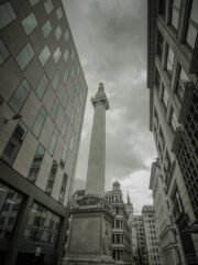 Monumental Windows By Warren Strickland