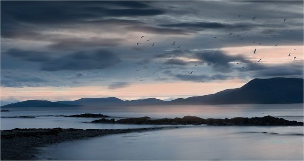 Last Flight Home by Mike Parmee ARPS CPAGB