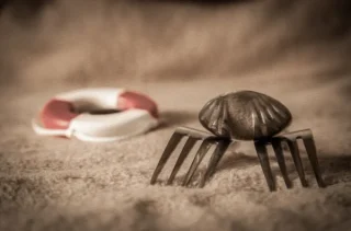 CD83A458 710D 4173 8A35 31A497E1ABDE 600x396