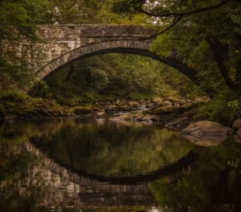 PRINT The Eden At Coed Y Brenin by David Bray 600x527