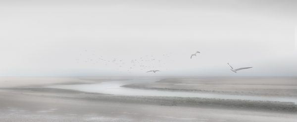 All the Way to the Sea by Mike Parmee