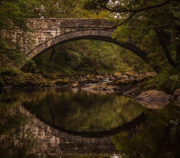PRINT The Eden At Coed Y Brenin by David Bray