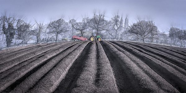 351B0036 3297 4002 8AC3 D98823C790A8