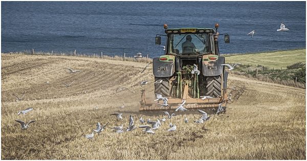 69DB5361 1B79 43CB 8D7B 1392F87CB469