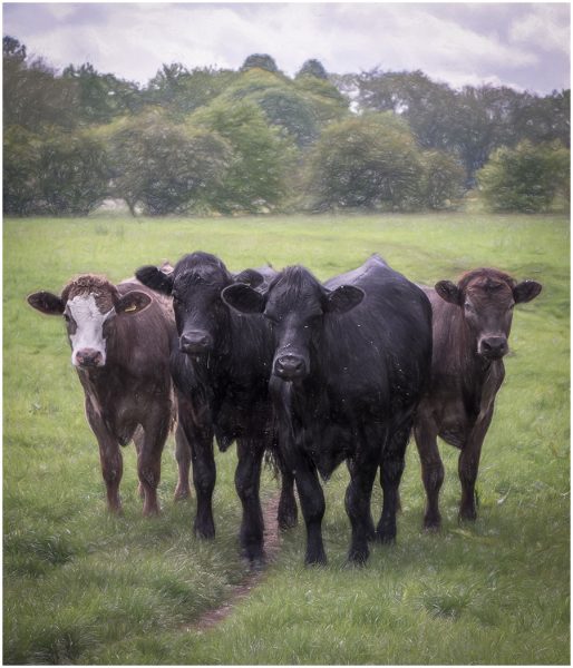 7E190DD1 3205 41C2 94C2 D2DA3A148479