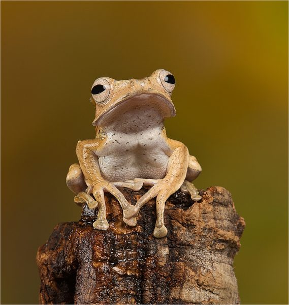 E0A6E035 FA14 483B AD18 026CC8E4AD1A