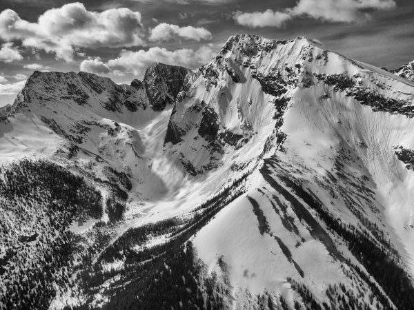 E1BDB3B8 E656 41E2 87F0 C35BF290F548