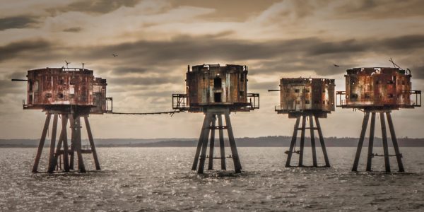 92AD8F3B 9D0C 4797 B53C DD31B518B295