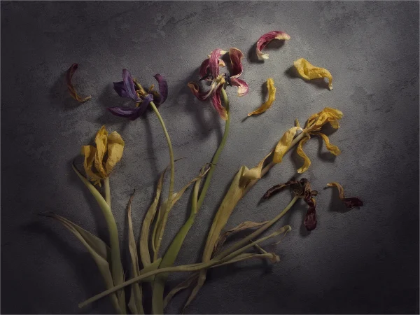 AT THE END by Rob Stubbs