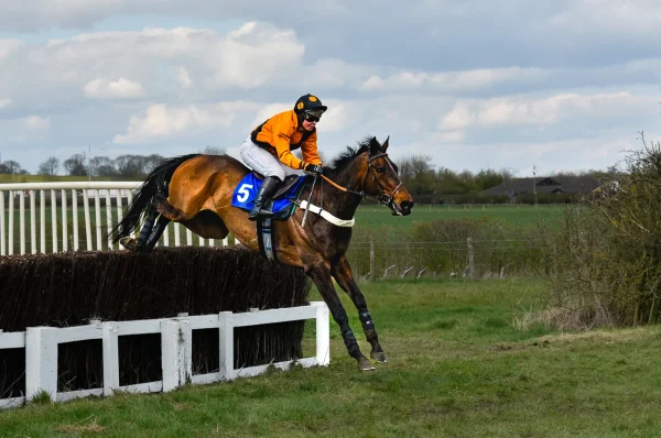 Jumping Clear by Andrew Swan