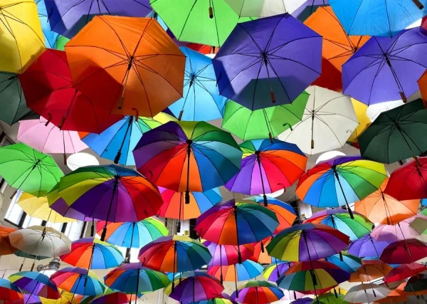 Market Stall Umbrellas by David Cunnane 1st place