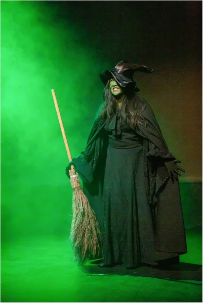 Merit 1 Let There Be Light 9 Experienced 19 Wicked Witch Warren Strickland 2152975