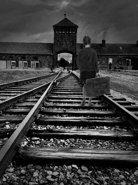 Experienced 19 The Holocaust by Martin Gilbert Michael Bryan 2236438