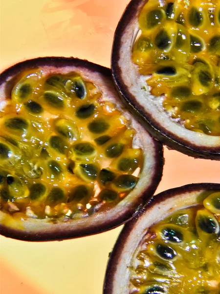 Highly Commended Highly Commended David Hilliard Fruit 2 1 Passion Fruit