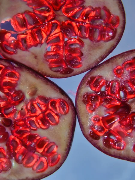 Highly Commended Highly Commended David Hilliard Fruit 3 2 Pomegranate