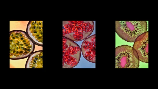 Highly Commended Highly Commended David Hilliard Fruit 5 Panel of DPIs Fruit