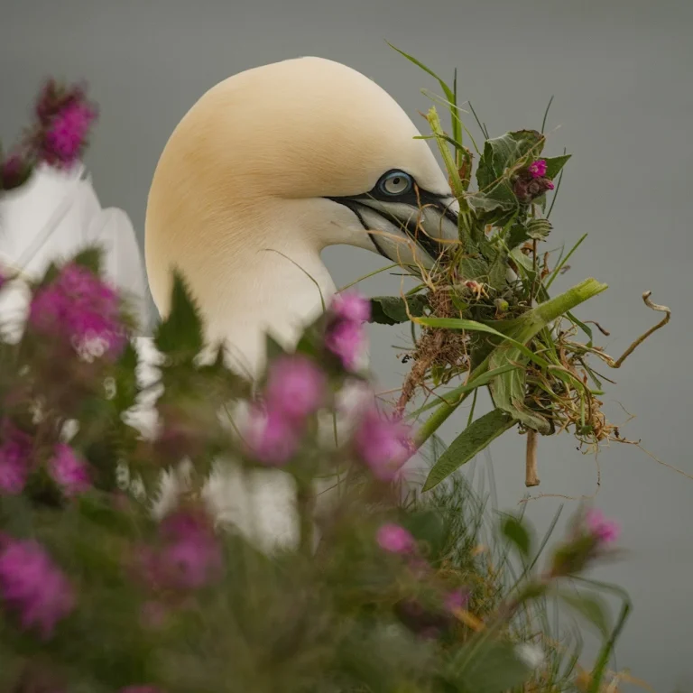 Greg Beeke Bempton 3