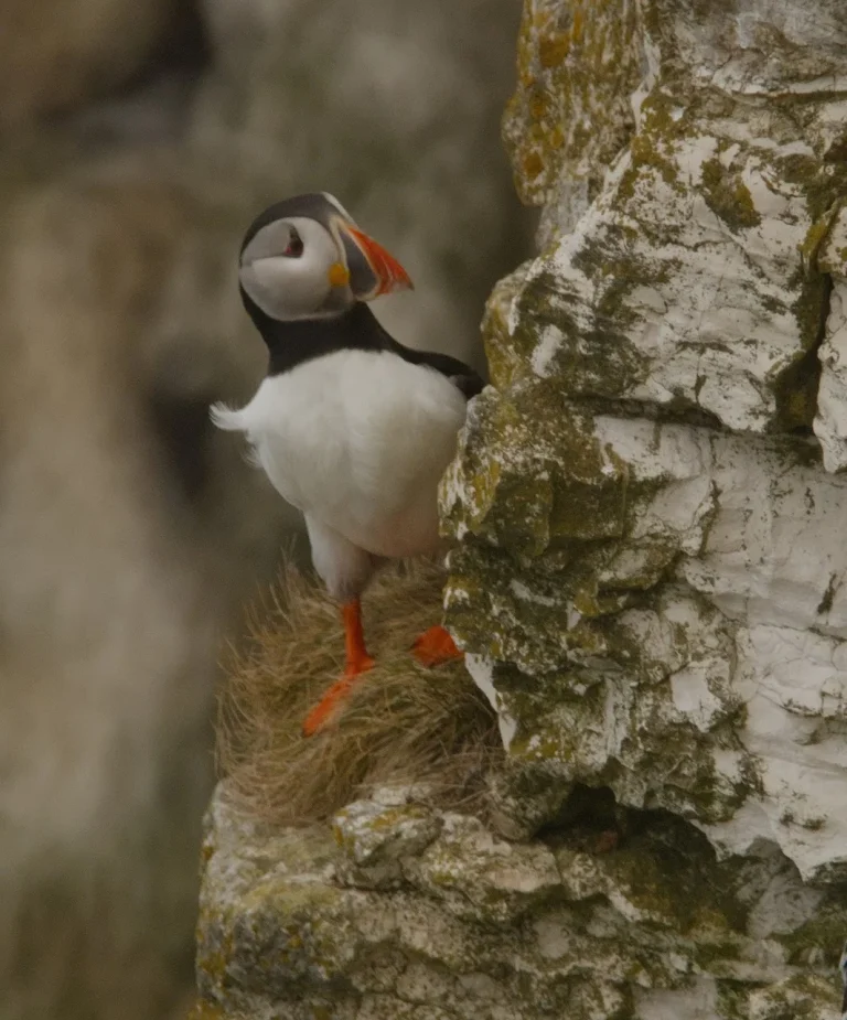 Greg Beeke Bempton 6