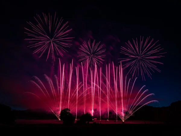 3rd Summer Sky Blooms In Pink by David Bray_AFIAP,CPAGB,ACPE