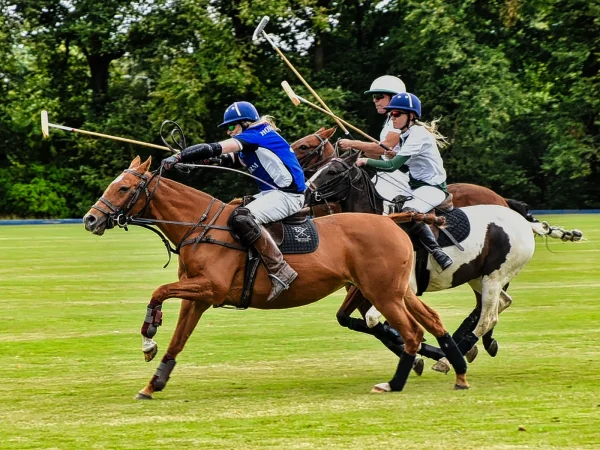Polo Chase - David Hilliard