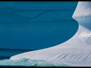 Iceberg Detail by Simon Coates
