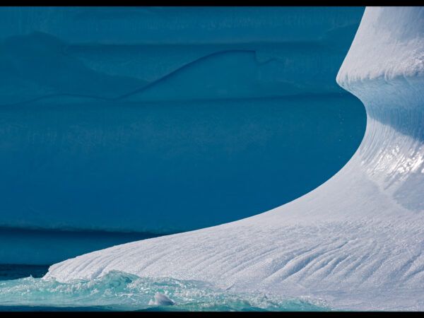 Iceberg Detail by Simon Coates