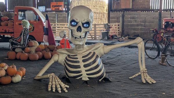 Third place if the Spontaneous & Fun competition