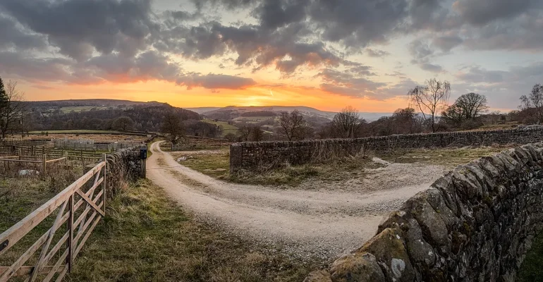 Winner of the Spontaneous & Fun mobile phone competition