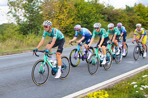 Graeme Webb Profile 12