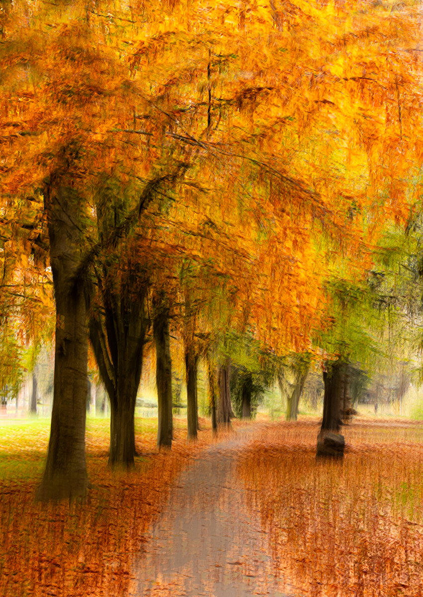 Riversley Park_Ian Flint_20__6116Website_upload2679537