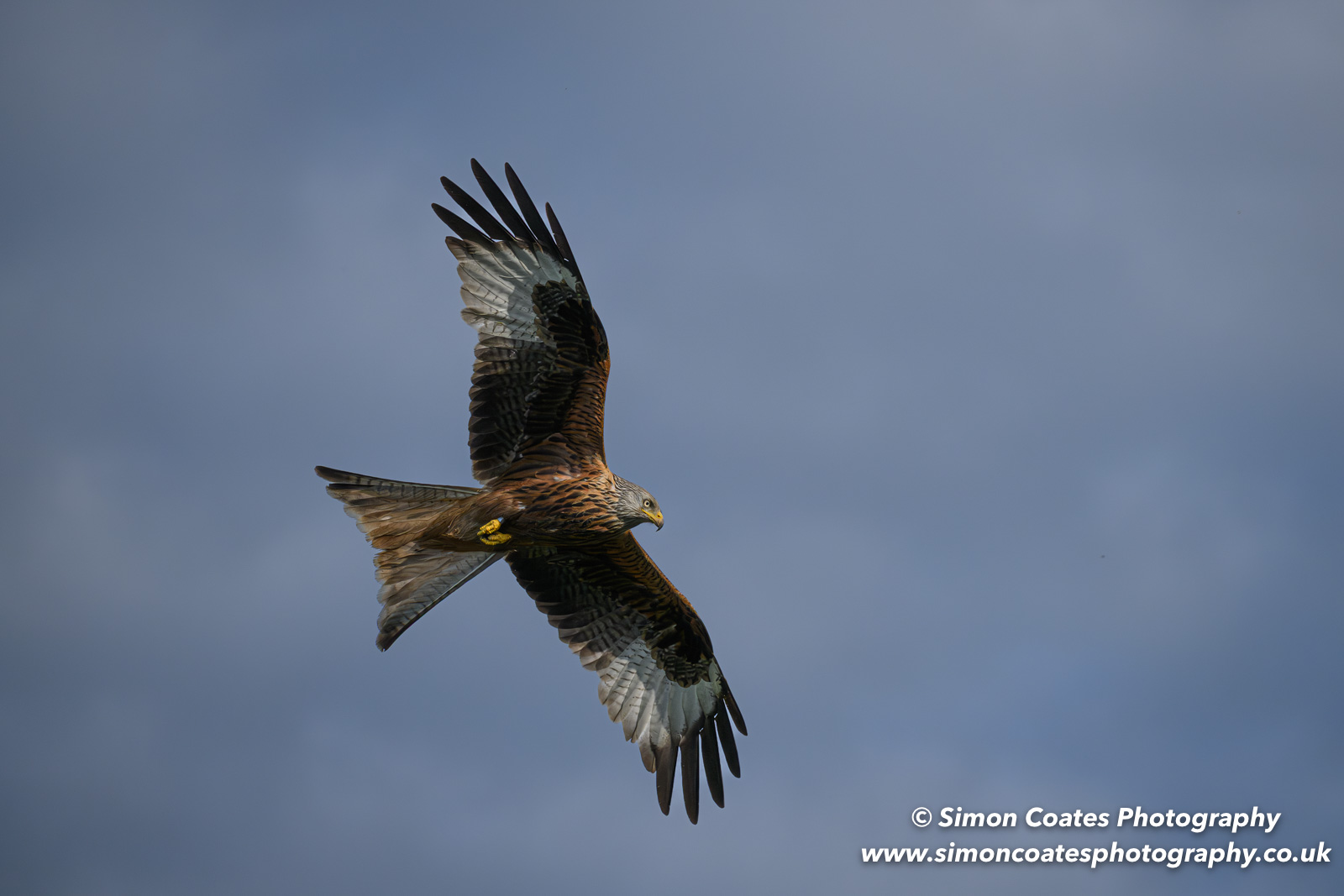 Dunchurch Photographic Society